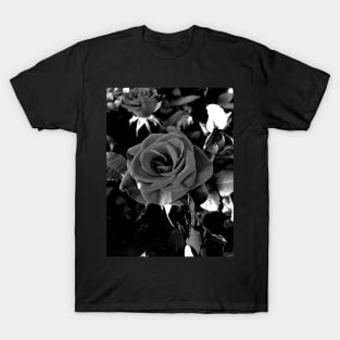 Roses Outside the Store in Black and White T-Shirt